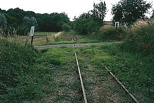 n29.jpg (24558 octets)