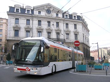 lyc306.jpg (30088 octets)