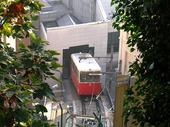lyfun02.jpg (36766 octets)